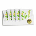 Sencha Green Tea 10g Pouch (5-Pack)